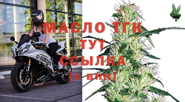 молекула духа Лабытнанги