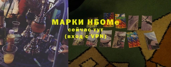 молекула духа Лабытнанги
